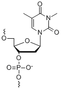 Bio-Synthesis Inc. Oligo Structure